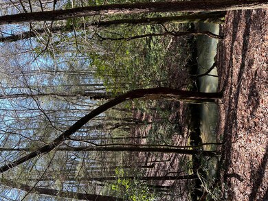 Tract 15 Thomas Springs Rd, Crossville, TN 38572 - photo 5