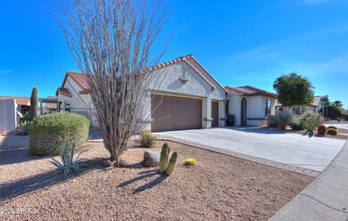 Front desert landscaping