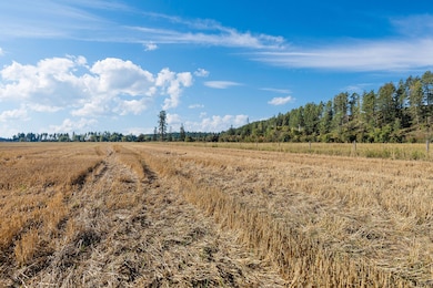 Nhn (Tract 3) Dairy Farm Ct, Kalispell, MT 59901 - photo 4