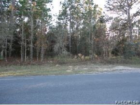 unlisted-address, Citrus Hills, FL 34442 - photo 3