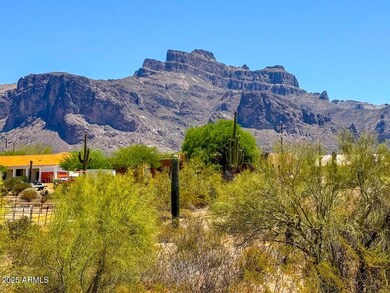 IMG_0775