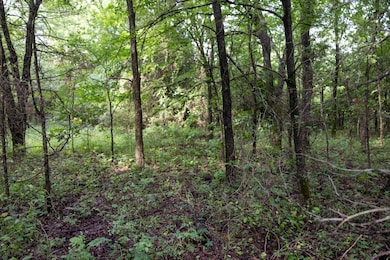 2 N 3800 Rd, Okemah, OK 74859 - photo 6