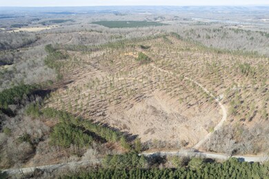 Hobe Colbaugh Rd. Land-1
