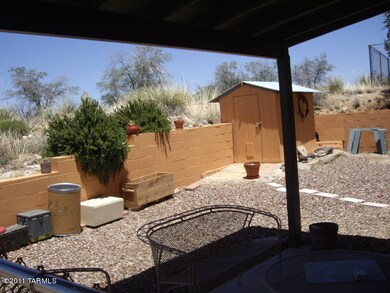 back yard
