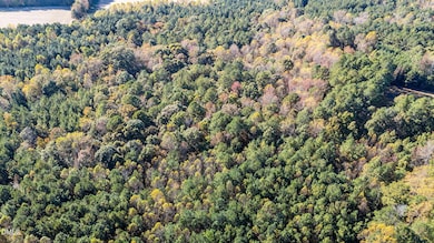 3-web-or-mls-DJI_20251024153035_0358_D