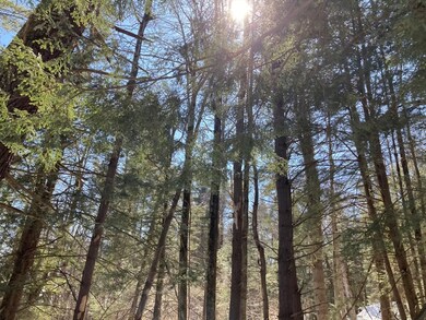 0 Maxwell Rd unit 73272836, Charlemont, MA 01339 - photo 5