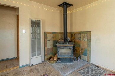 2236 W 2nd Ave, Durango, CO 81301 - photo 3