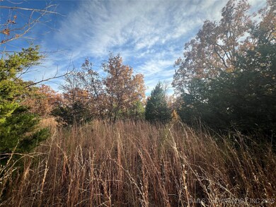 0029 Ruisdael Rd, Sand Springs, OK 74063 - photo 5