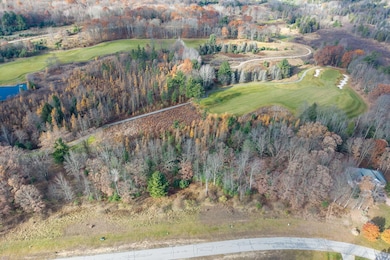 6226 Dublin Dr, Canadian Lakes, MI 49346 - photo 3