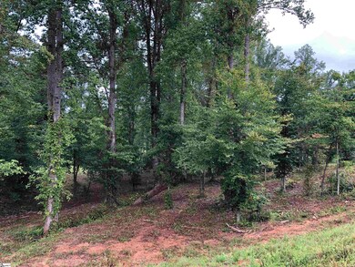 0 Tall Poplar Trail unit 1453651, Greenville, SC 29617 - photo 7