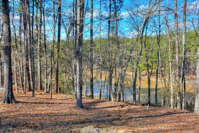 Pond View from Home
