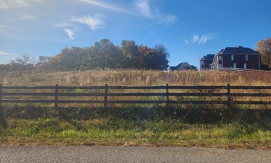 000 9 81 Acres Quinland Lake Rd N, Cookeville, TN 38506 - photo 7