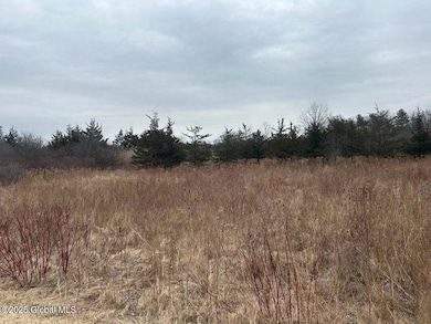 97 Hills Dr, Athens, NY 12015 - photo 4