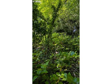 0 NE Rebel Rd, Waldport, OR 97394 - photo 3