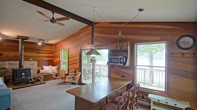 10749 Kings Ln, Berrien Springs, MI 49103 - photo 2