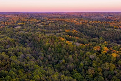 3345 Pigeon Roost Rd, Pulaski, TN 38478 - photo 2