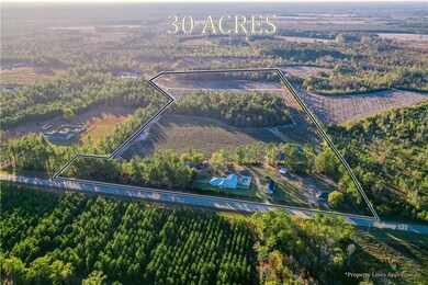 2203 N Hwy 121 Hwy, Blackshear, GA 31518 - photo 5