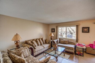 Living Room at 13643 74th Avenue N, Maple Grove, M