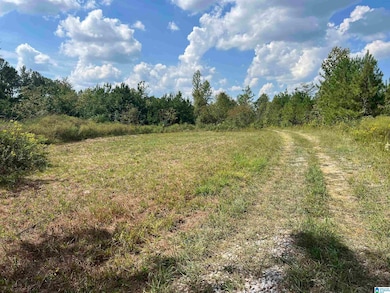 0 Sweatt Rd unit 21398227, Steele, AL 35987 - photo 3