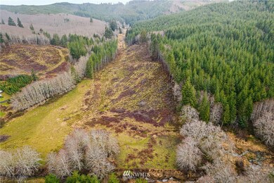 0 Elk Creek Rd unit NWM1890793, Raymond, WA 98577 - photo 7