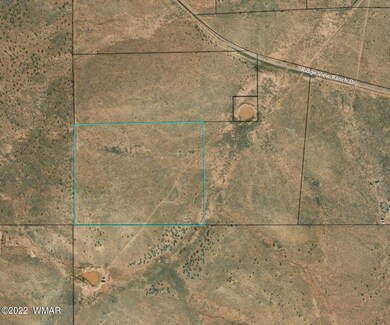 Satellite Image