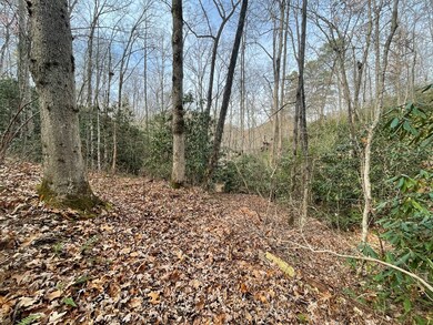 0 Mountain Laurel Rd, Robbinsville (Graham), NC 28771 - photo 4