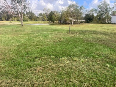 4415 Singletary Dr, Algoa, TX 77511 - photo 3