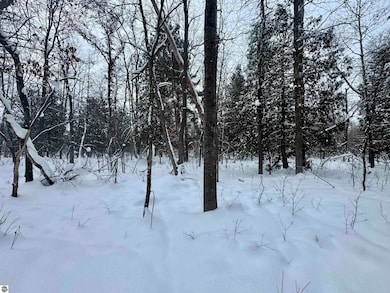 Parcel A 32 1 2 Rd, Haring Township, MI 49601 - photo 6