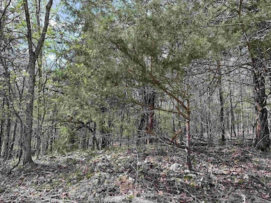 0 Off Dovewood Ln unit 22007754, Flippin, AR 72634 - photo 5