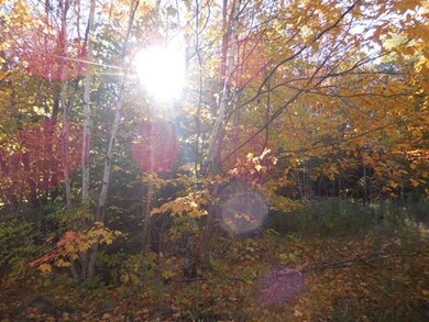 124 Fern Rd, Dover-Foxcroft, ME 04426 - photo 4