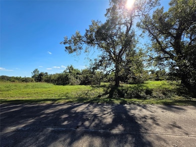 0 Wagon Wheel Trail unit 20641134, Angleton, TX 77515 - photo 6