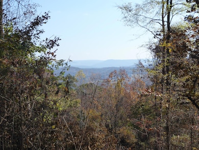 P1040016