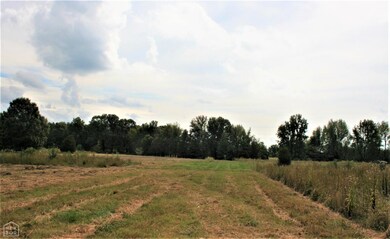 14 + - Acres Cr 766, Jonesboro, AR 72405 - photo 4