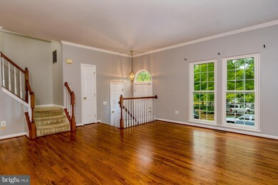 20376 Briarcliff Terrace, Sterling, VA 20165 - photo 4