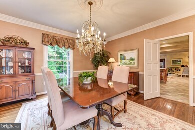 832 Emerald Dr, Alexandria, VA 22308 - photo 6