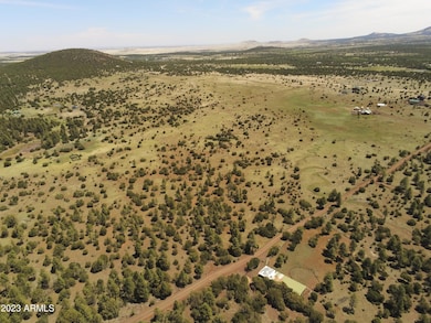 TBD Acr N3263 Parcel 1 -- unit 34, Vernon, AZ 85940 - photo 5