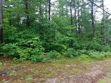 0 Olde Pine Rd, Wakefield, NH 03830 - photo 3