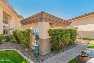 0033-33 - Camelback