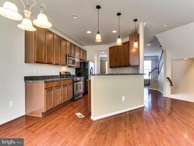 11868 Benton Lake Rd, Bristow, VA 20136 - photo 7