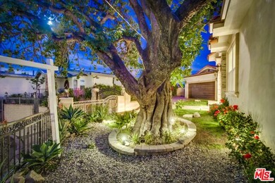 Front yard
