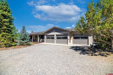 18317 Highway 65, Cedaredge, CO 81413 - photo 6