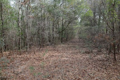 Tbd Hwy 29, Janice, MS 39425 - photo 3