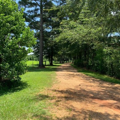 unlisted-address, Tylertown, MS 39667 - photo 2