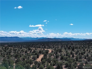 TBD E Mountain Springs Rd, Hackberry, AZ 86411 - photo 7