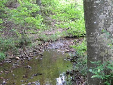 Spring fed creek