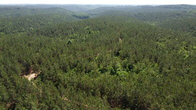 0 Sinking Creek Prong, Linden, TN 37096 - photo 7