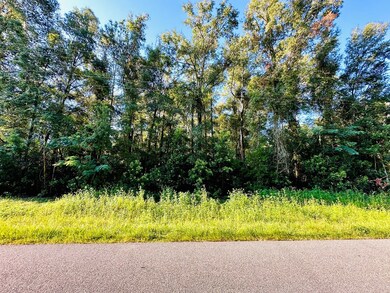 0000 284th St, Branford, FL 32008 - photo 2