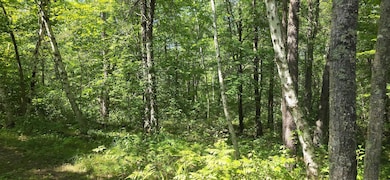 Abundance of wildlife