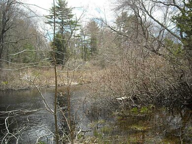 Other. View of Wood River