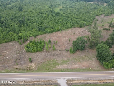 0 Highway 22 A, Enville, TN 38332 - photo 5